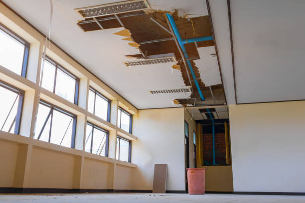 Best Water damage restoration insurance claims  in Warrenton, MO