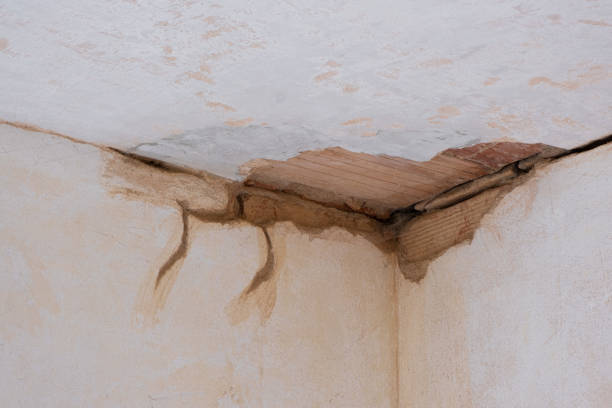 Best Fire Damage Restoration  in Warrenton, MO
