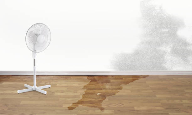  Warrenton, MO Water damage restoration Pros