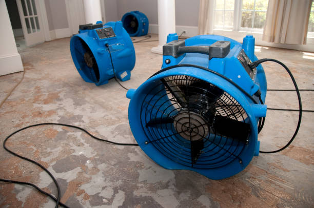 Best 24/7 water damage repair  in Warrenton, MO