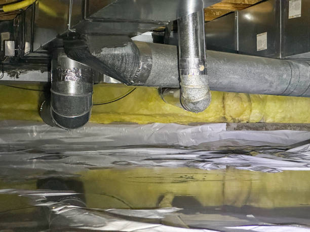 Best Ceiling water damage repair  in Warrenton, MO