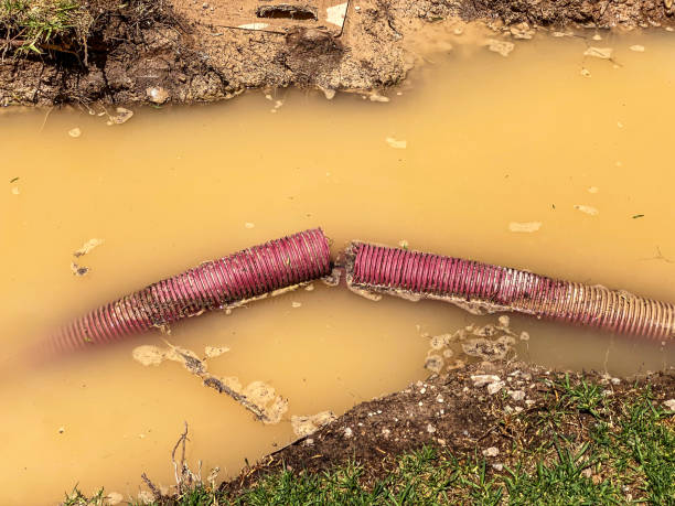 Best Water damage repair service  in Warrenton, MO