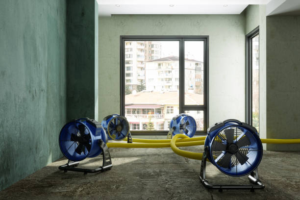 Best Professional water damage repair  in Warrenton, MO